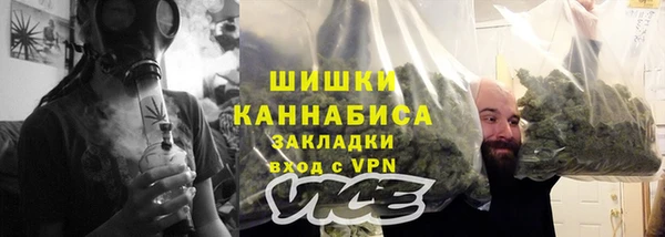 молекула духа Михайлов