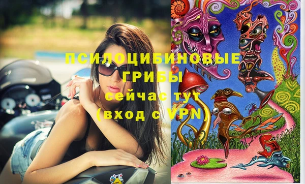прущие грибы Мегион