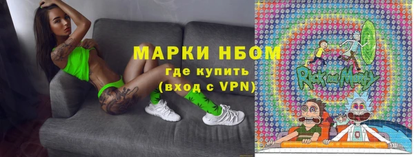 прущие грибы Мегион