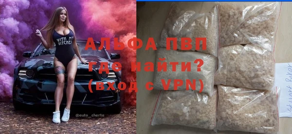 прущие грибы Мегион