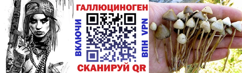 это как зайти  где найти наркотики  Короча  Псилоцибиновые грибы Magic Shrooms 